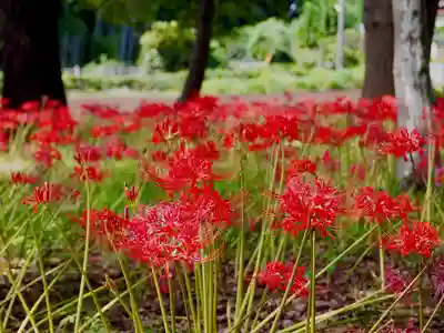 祖光院(千葉県)