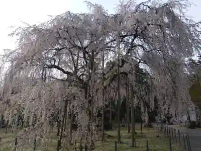 足羽神社(福井県)