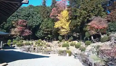 浄居寺の庭園