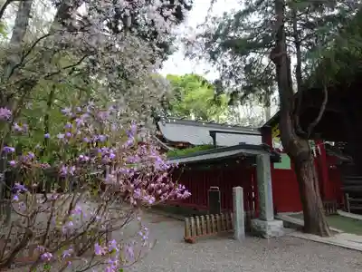 大國魂神社の本殿・本堂