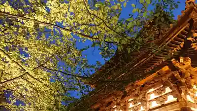 東寺（教王護国寺）のその他建物