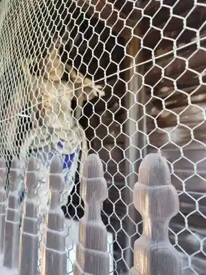 金剛城寺(兵庫県)