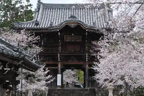 粉河寺の山門