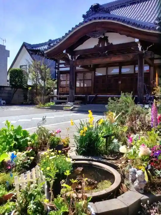 智光院(東京都)