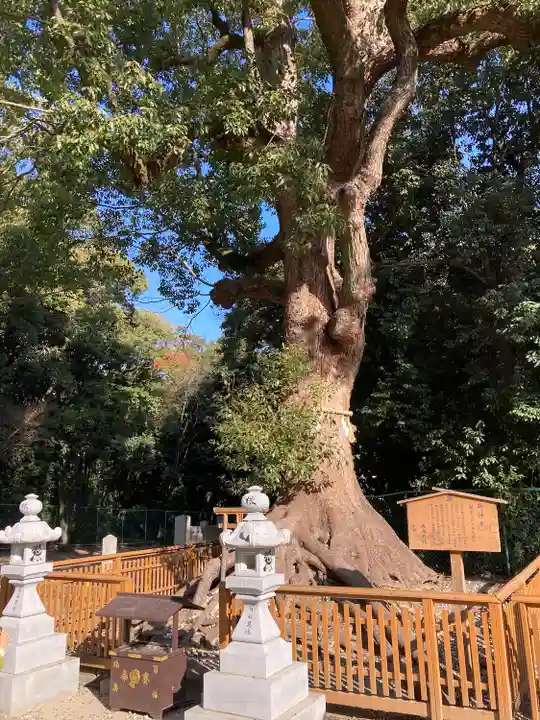 和泉國一之宮 大鳥大社の自然