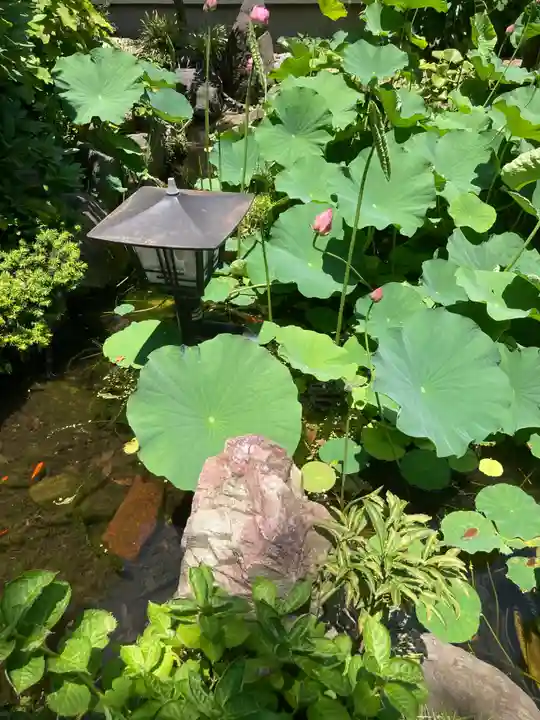 普門院(神奈川県)