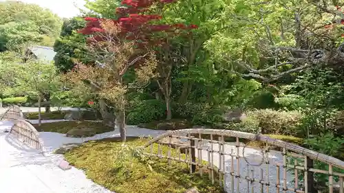 浄妙寺の庭園