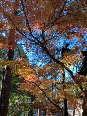 平塚八幡宮(神奈川県)