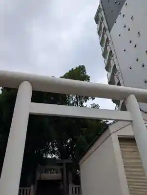 洲崎大神(神奈川県)