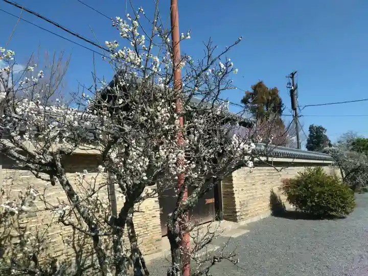 天龍寺の{uncategorized: "未分類", other: "その他", undefined: "問題あり", building: "その他建物", grave: "お墓", sacred_gate: "鳥居", guardian: "狛犬", statue: "像", buddha: "仏像", history: "歴史", nature: "自然", garden: "庭園", animal: "動物", pagoda: "塔", temizu: "手水舎", mountain_gate: "山門・神門", sanctuary: "本殿・本堂", subordinate: "末社・摂社", art: "芸術", scenery: "景色", jizo: "地蔵", ema: "絵馬", goshuin: "御朱印", omikuji: "おみくじ", items: "授与品その他", amulet: "お守り", goshuincho: "御朱印帳", eats: "食事", festival: "お祭り", votive_dance: "神楽", shichigosan: "七五三参", wedding: "結婚式", experience: "体験その他", initially: "初詣", around: "周辺", anti_infection: "感染症対策"}