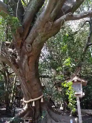 八大龍王水神(宮崎県)