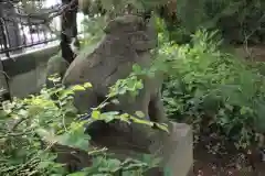 越谷香取神社の狛犬