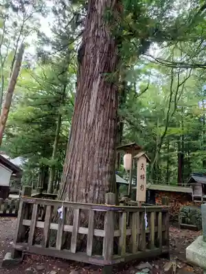 小野神社(長野県)