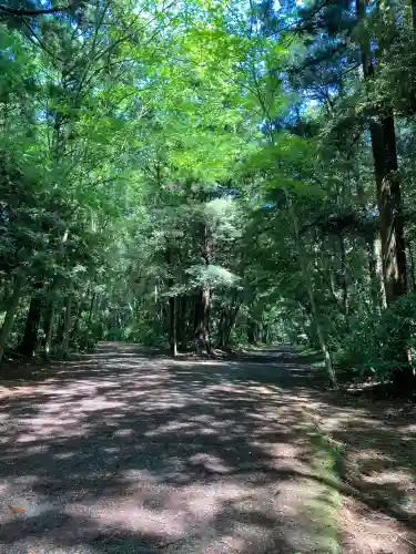 鹿島神宮(茨城県)