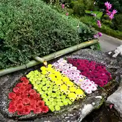 木幡山隠津島神社(二本松市)の手水