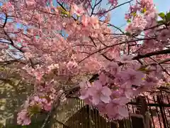 長円寺(京都府)