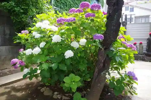 福王山  慈眼寺(東京都)