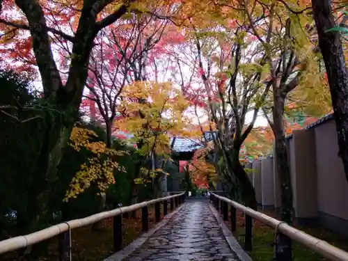 光悦寺(京都府)