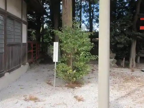 椿森諏訪神社(埼玉県)