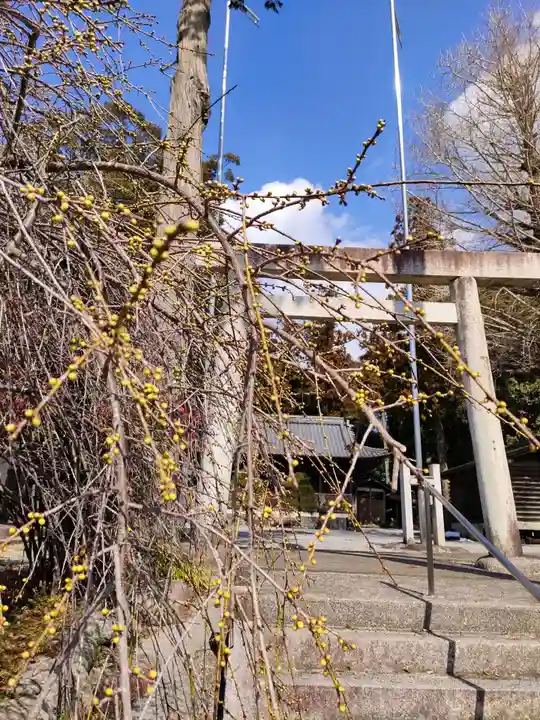 春日神社の鳥居