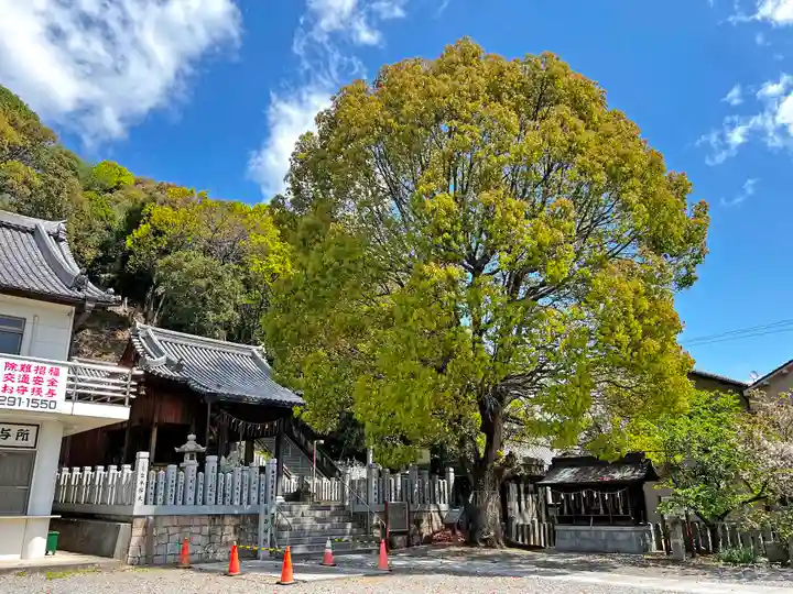 水尾神社の自然