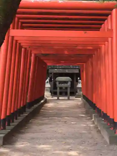 小牧山稲荷神社の鳥居