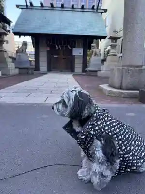 住吉神社 勝どき御旅所(東京都)