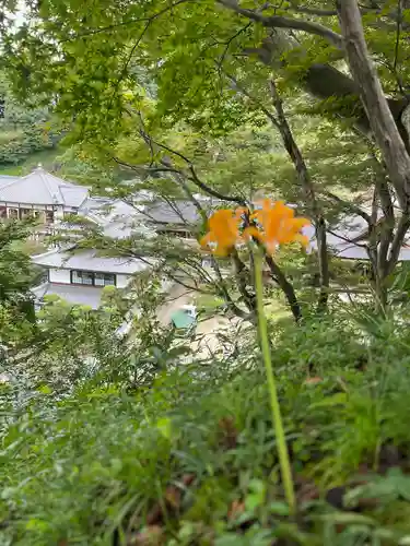 岡寺（龍蓋寺）(奈良県)