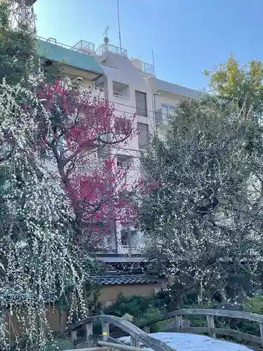 湯島天満宮(東京都)