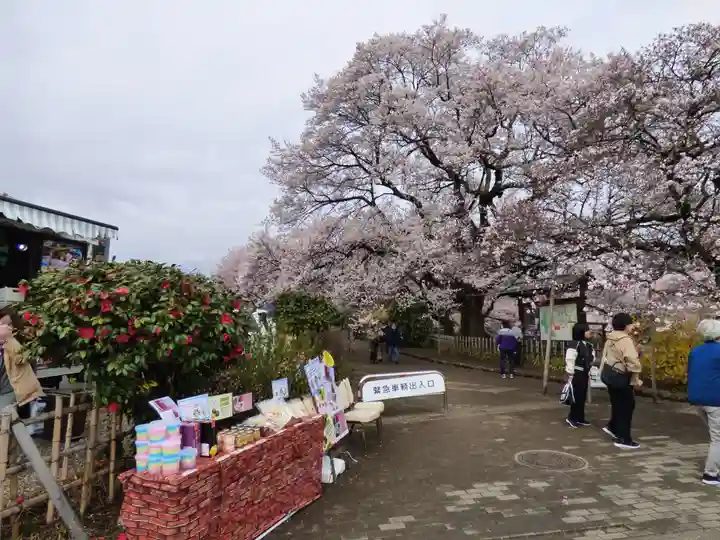実相寺のお祭り