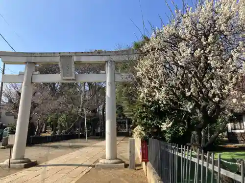 碑文谷八幡宮の{uncategorized: "未分類", other: "その他", undefined: "問題あり", building: "その他建物", grave: "お墓", sacred_gate: "鳥居", guardian: "狛犬", statue: "像", buddha: "仏像", history: "歴史", nature: "自然", garden: "庭園", animal: "動物", pagoda: "塔", temizu: "手水舎", mountain_gate: "山門・神門", sanctuary: "本殿・本堂", subordinate: "末社・摂社", art: "芸術", scenery: "景色", jizo: "地蔵", ema: "絵馬", goshuin: "御朱印", omikuji: "おみくじ", items: "授与品その他", amulet: "お守り", goshuincho: "御朱印帳", eats: "食事", festival: "お祭り", votive_dance: "神楽", shichigosan: "七五三参", wedding: "結婚式", experience: "体験その他", initially: "初詣", around: "周辺", anti_infection: "感染症対策"}