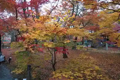 東福禅寺(東福寺)(京都府)