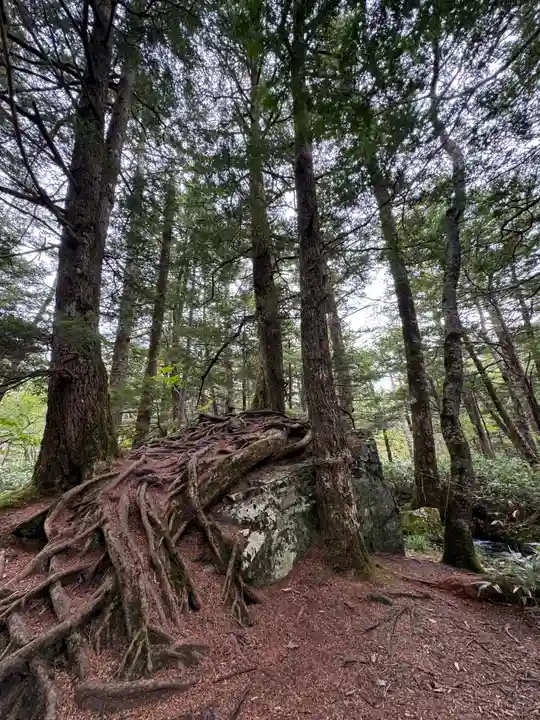 穂高神社奥宮の自然
