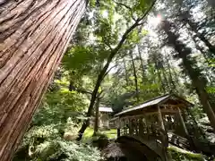 塩野神社(長野県)