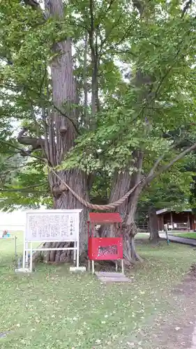 神社（洞爺湖中の島）の自然