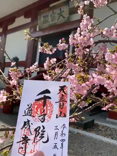 道成寺(和歌山県)