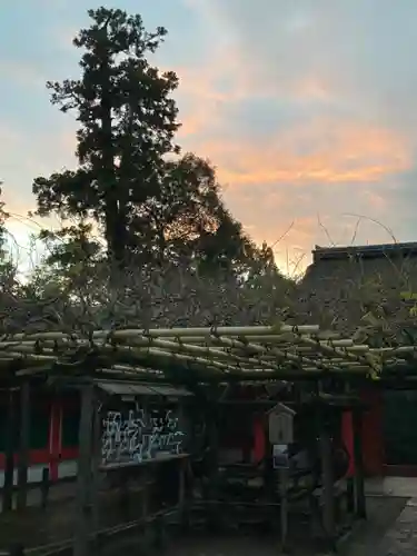 春日大社の庭園