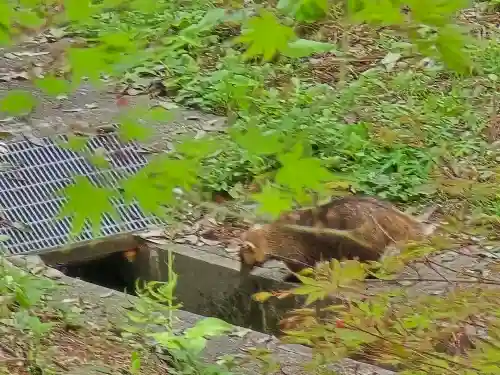 長谷寺(奈良県)