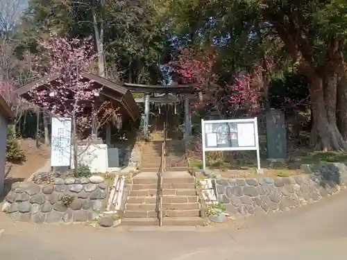 西八朔杉山神社(神奈川県)