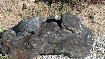 養仙禅寺（養仙寺）(京都府)