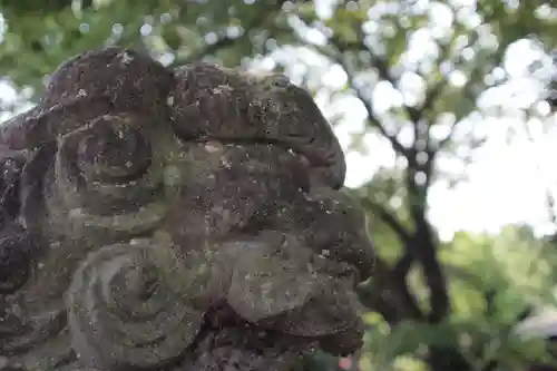 前玉神社の狛犬