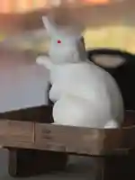 宇治神社の狛犬