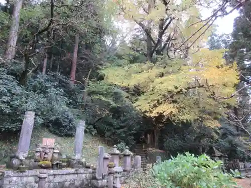 妙本寺の景色