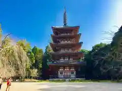 醍醐寺の塔