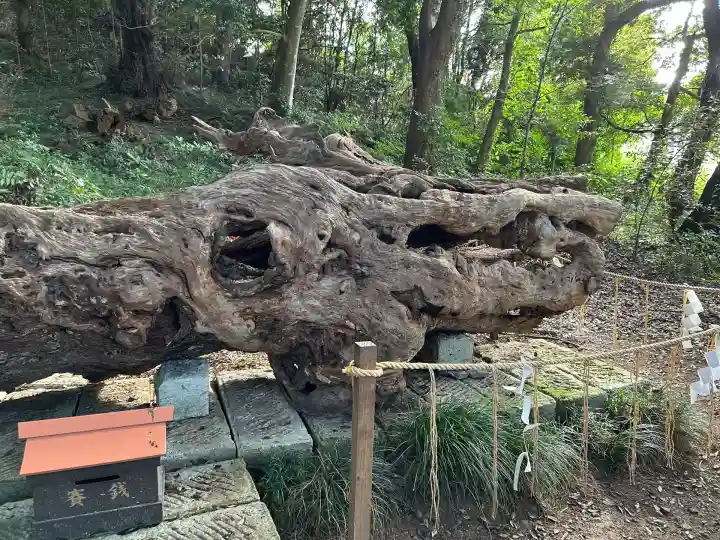 泉神社(茨城県)