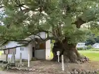 速雨神社(徳島県)