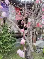 宝勝山 南藏院 蓮光寺の末社・摂社