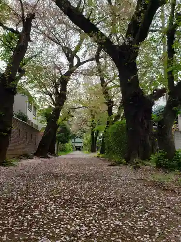 田端神社(東京都)