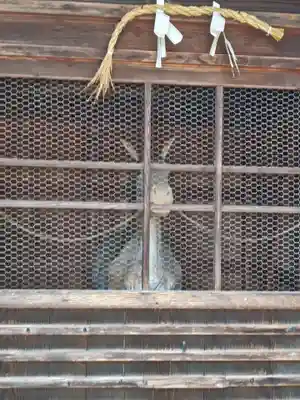 和貴宮神社(京都府)