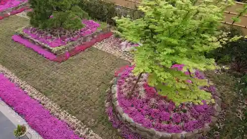 寿量山　速成寺の庭園